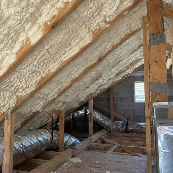 Spray foam covering sloped roof sheathing under a cathedral ceiling